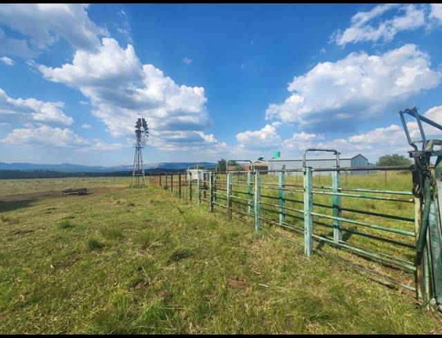 FARM FOR SALE IN ZANDFONTEIN AH